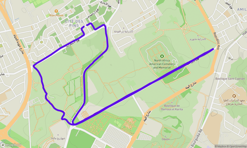 Activity map