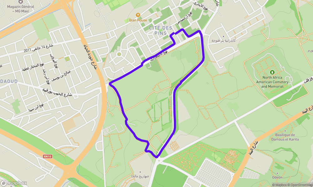 Activity map