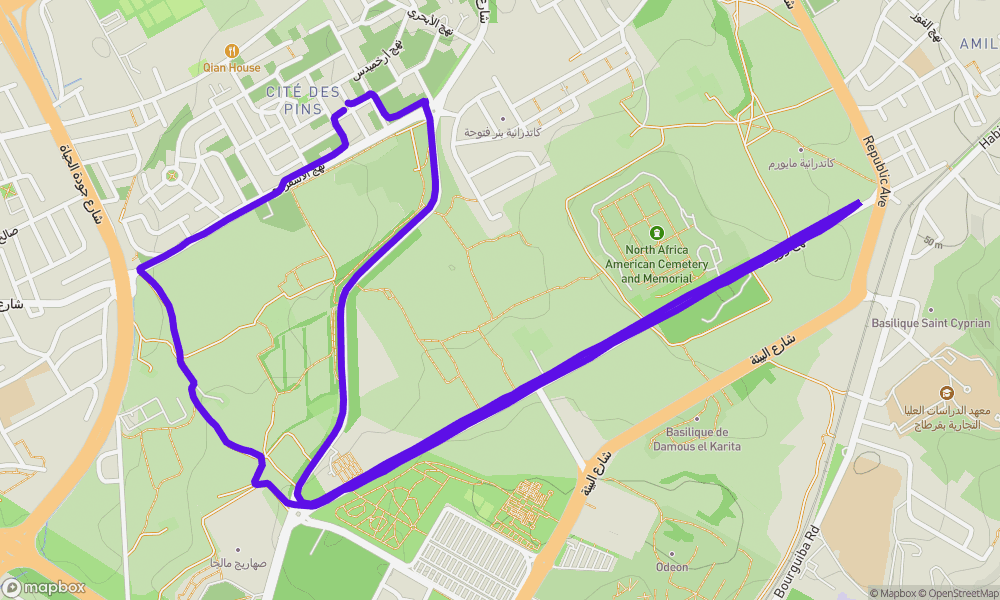 Activity map