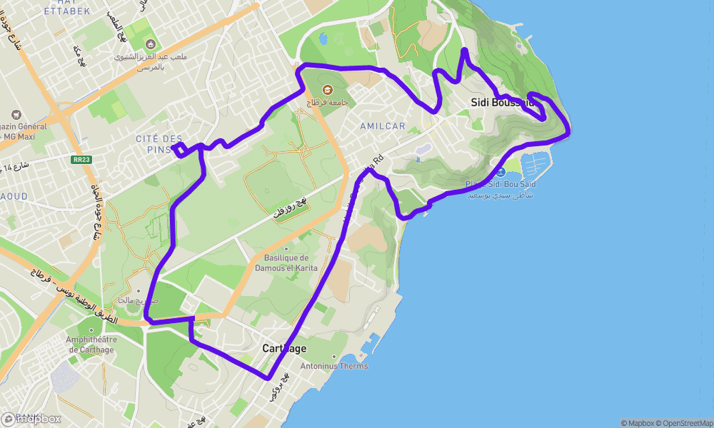Activity map