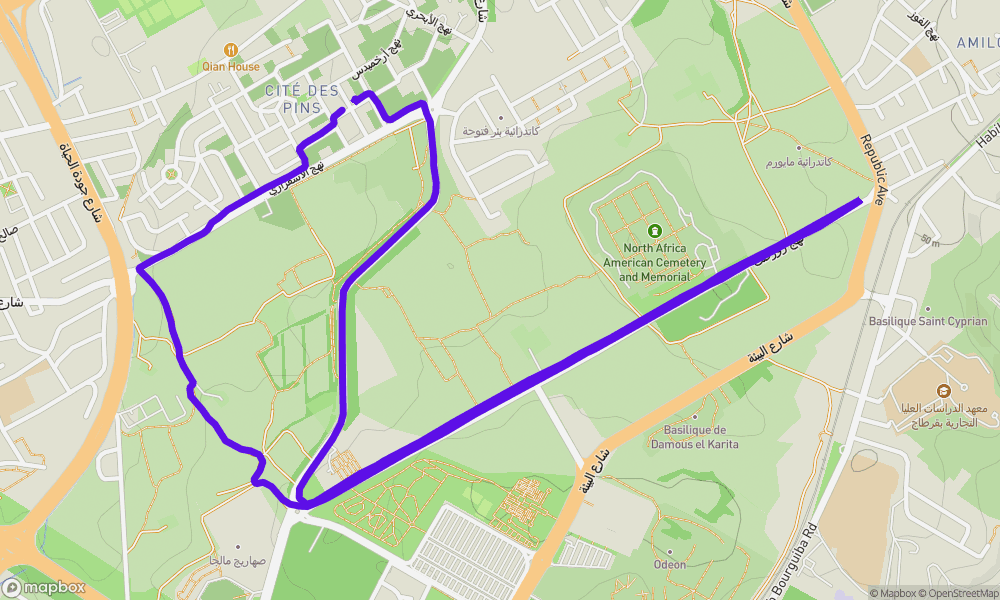 Activity map
