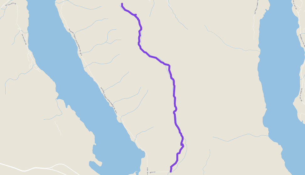 Activity map