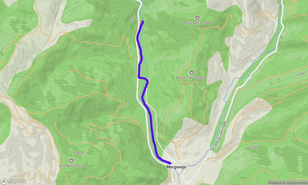 Activity map