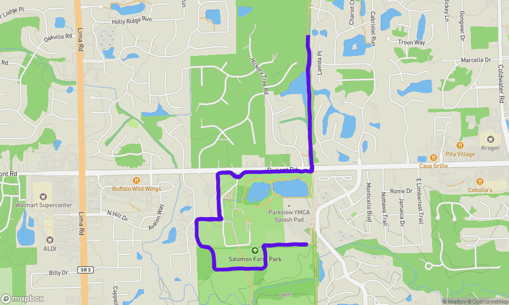 Activity map