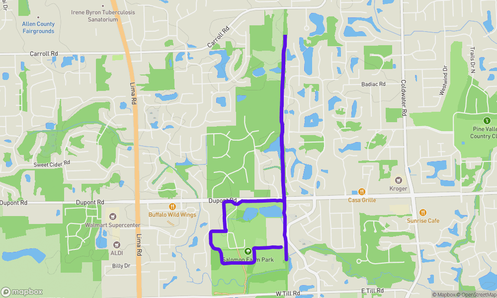 Activity map